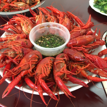 潜江小龙虾肉质饱满，货源充足