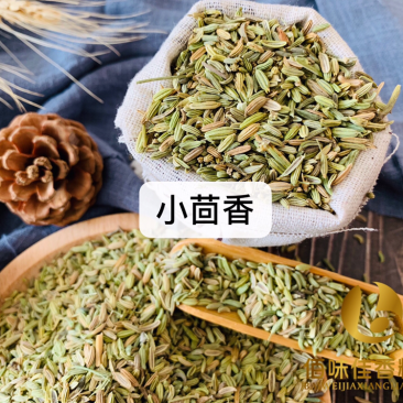 茴香