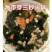 海带苗