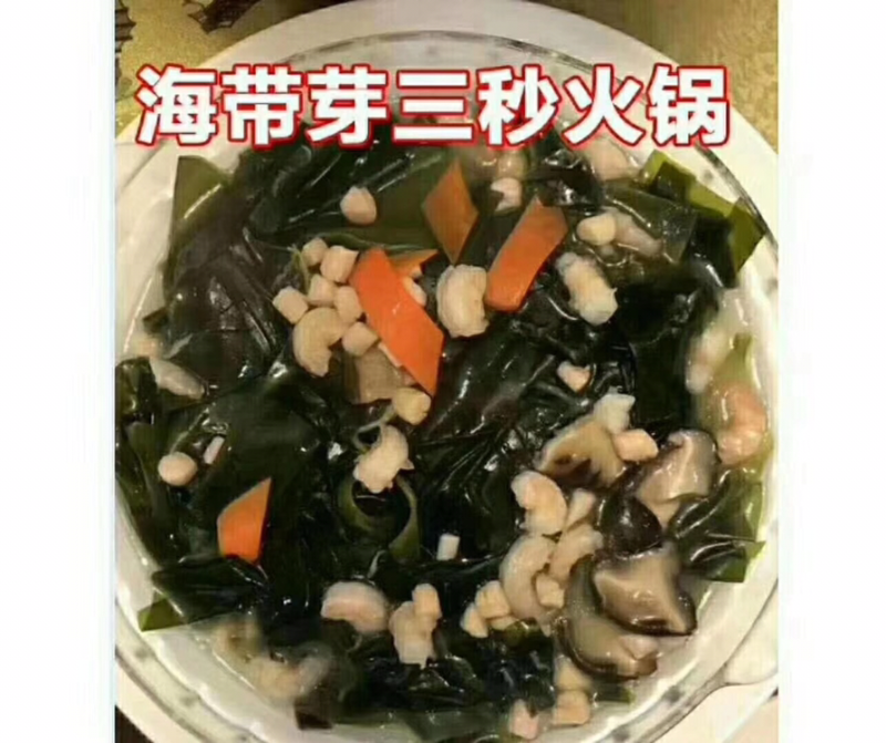 海带苗