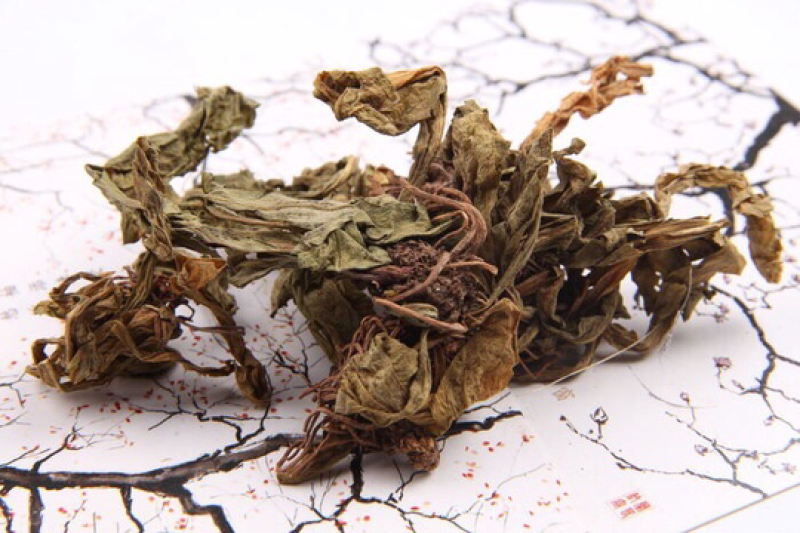 灯盏细辛