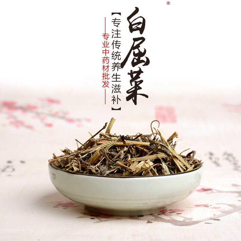 白屈菜