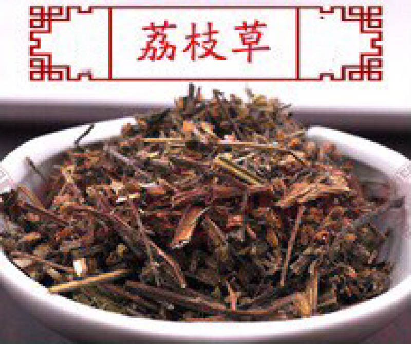 荔枝草