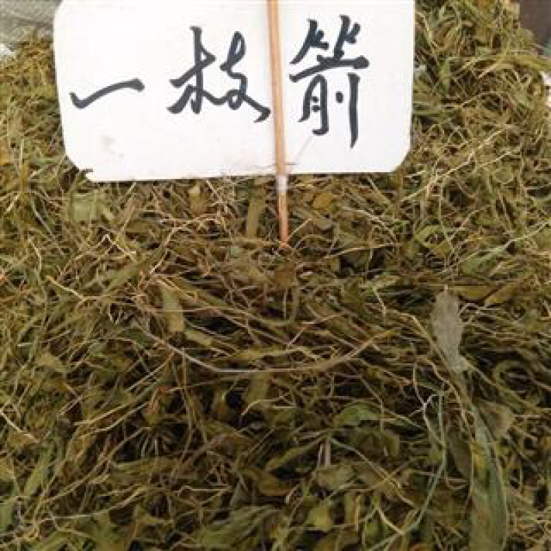 一支箭