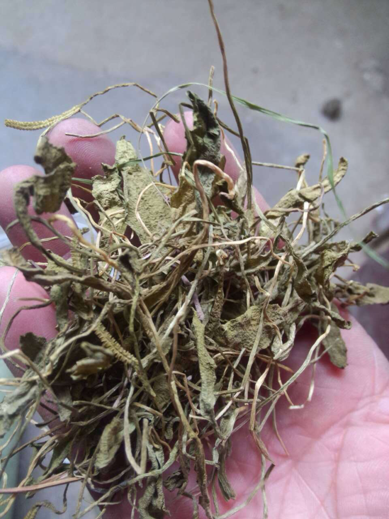 一支箭