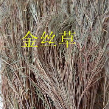 金丝草