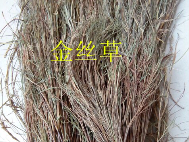 金丝草