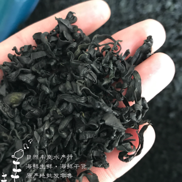 裙带菜螺旋藻长寿菜泡发15-18倍