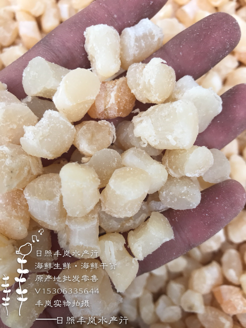 半干干贝扇贝扇贝丁
