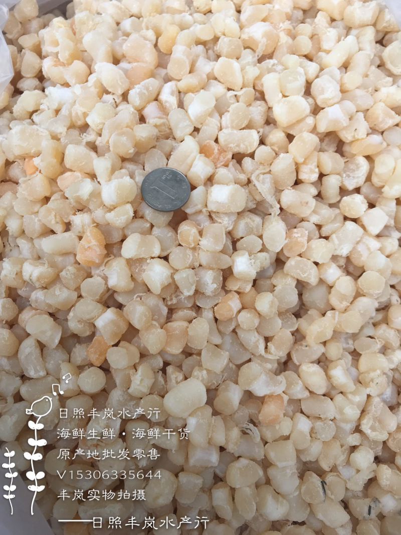 半干干贝扇贝扇贝丁