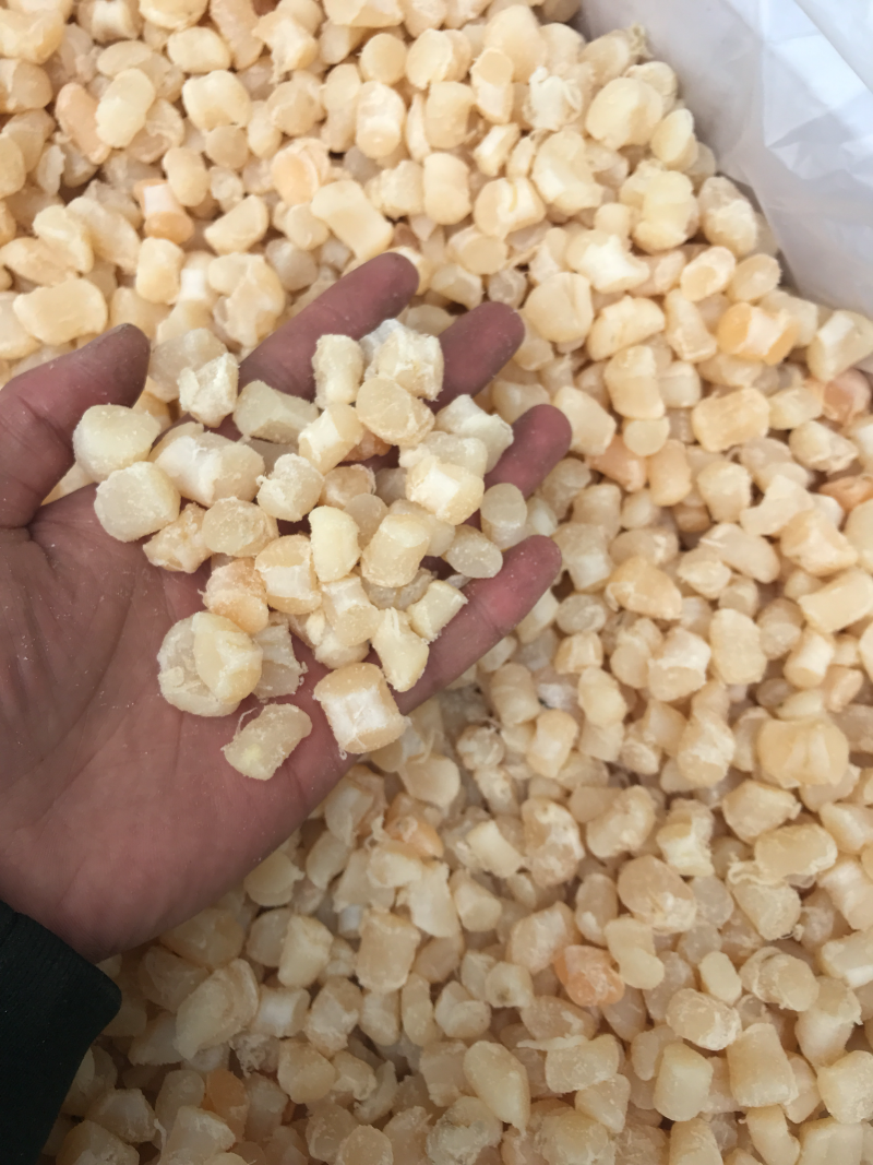 半干干贝扇贝扇贝丁