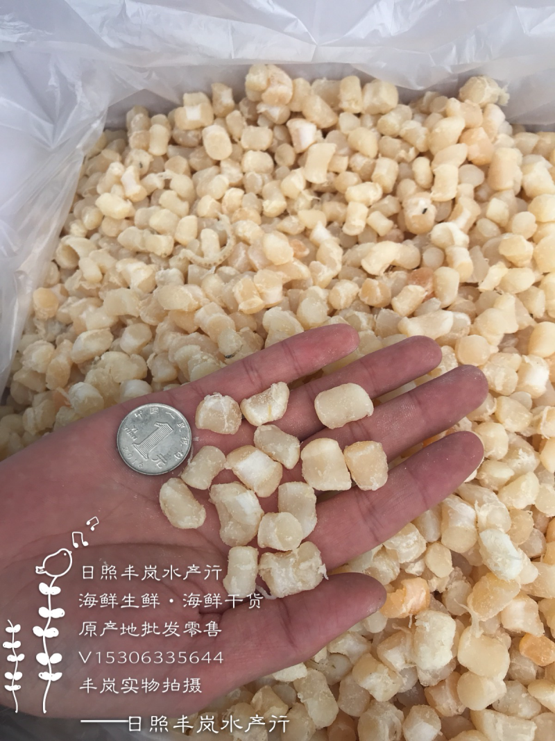 半干干贝扇贝扇贝丁