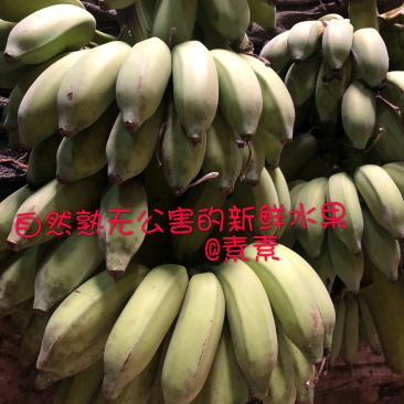 西贡蕉有机水果