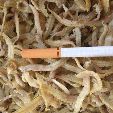 麻辣丁香鱼专用原料