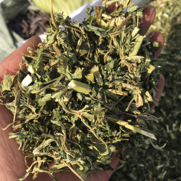 益母草10元/公斤