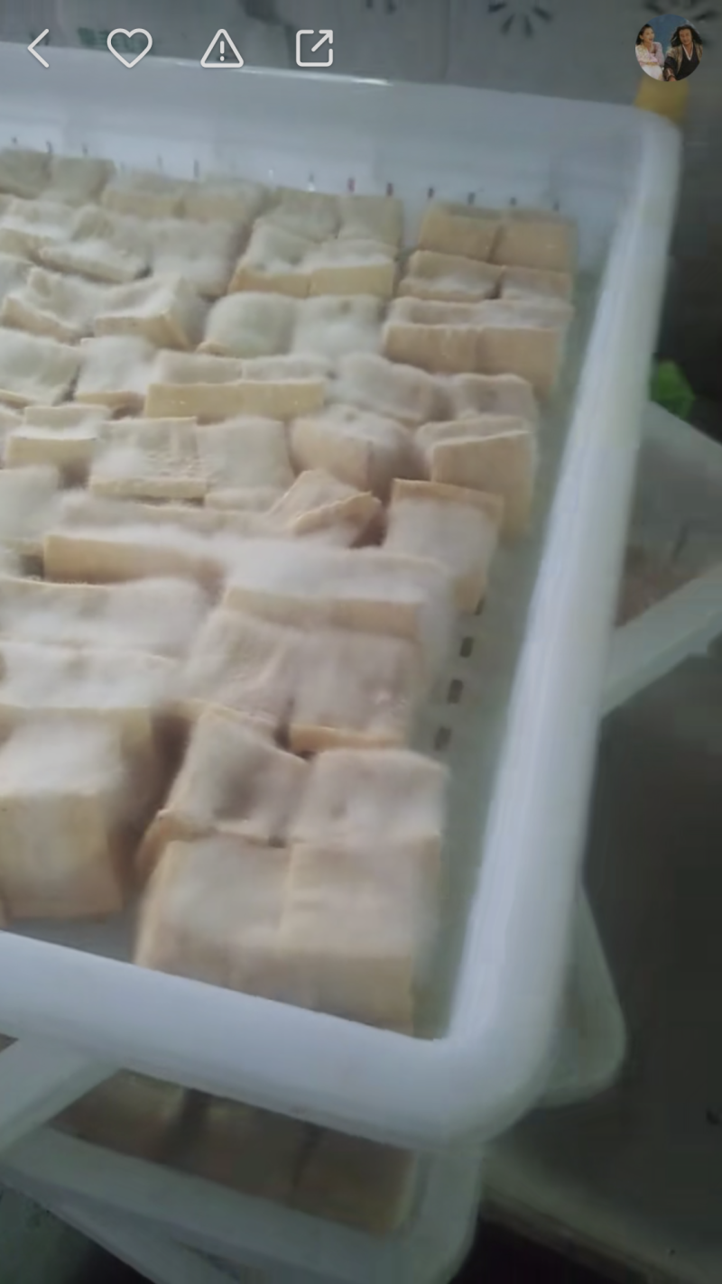 宁波霉豆腐批发