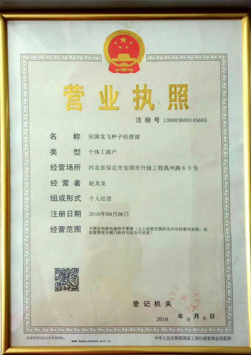 31号黄柴胡种子2019年新货