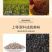 瓜子仁油葵瓜子仁