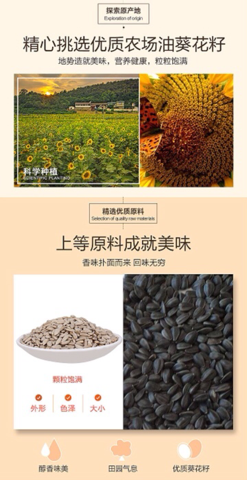 瓜子仁油葵瓜子仁