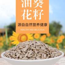 瓜子仁油葵瓜子仁