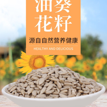 瓜子仁油葵瓜子仁