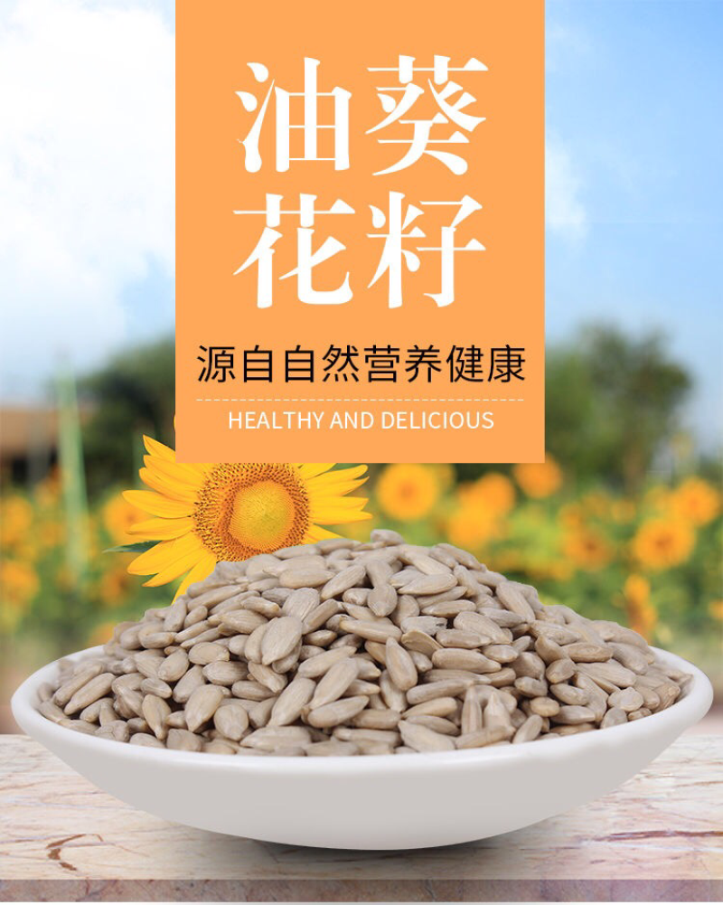 瓜子仁油葵瓜子仁