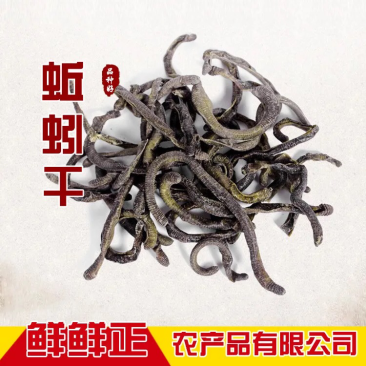 批发蚯蚓干