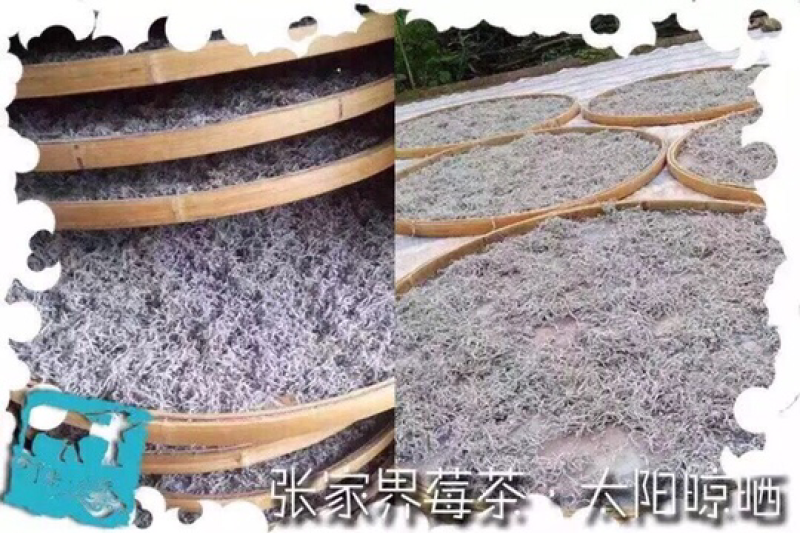 张家界莓茶，安化黑茶