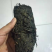 张家界莓茶，安化黑茶