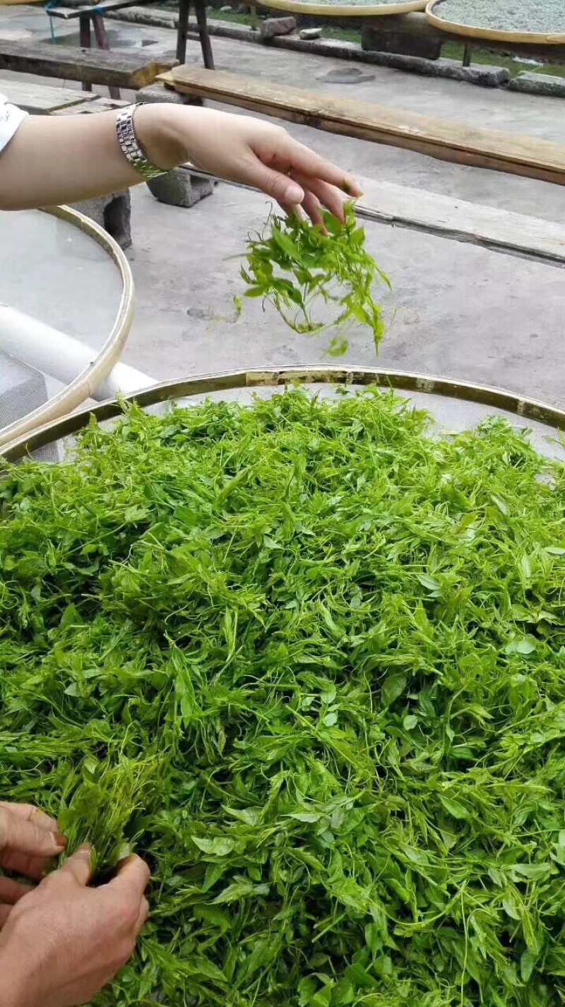 张家界莓茶，安化黑茶