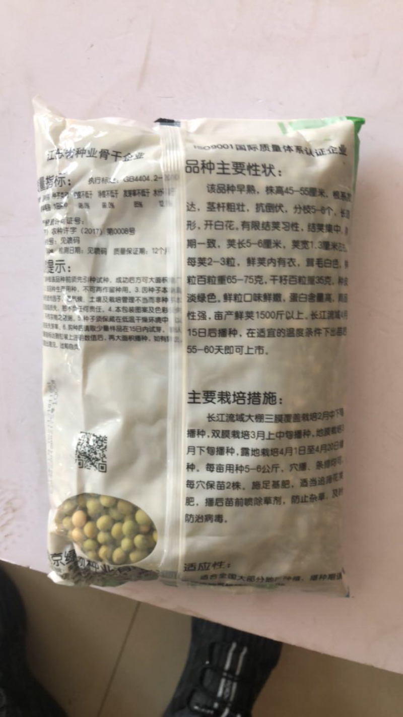 绿领特早毛豆种子2斤装