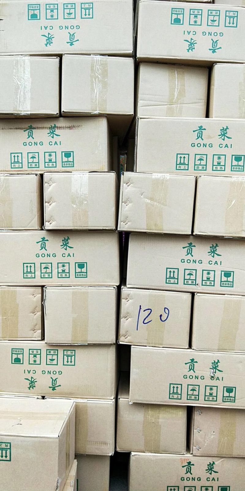 贡菜，产地安徽，产地直销，欢迎订购AAA，一级，二级