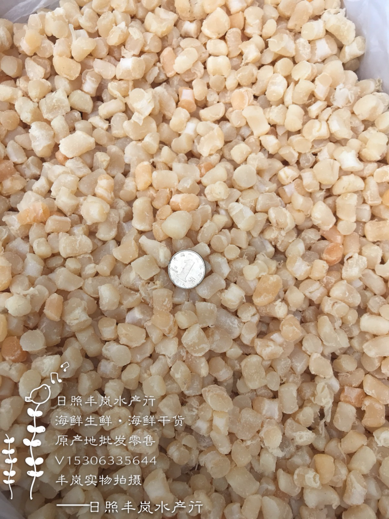 干贝扇贝丁瑶贝柱