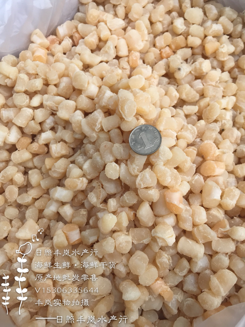 干贝扇贝丁瑶贝柱