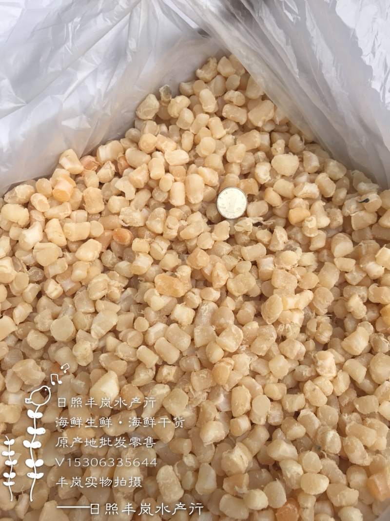 干贝扇贝丁瑶贝柱