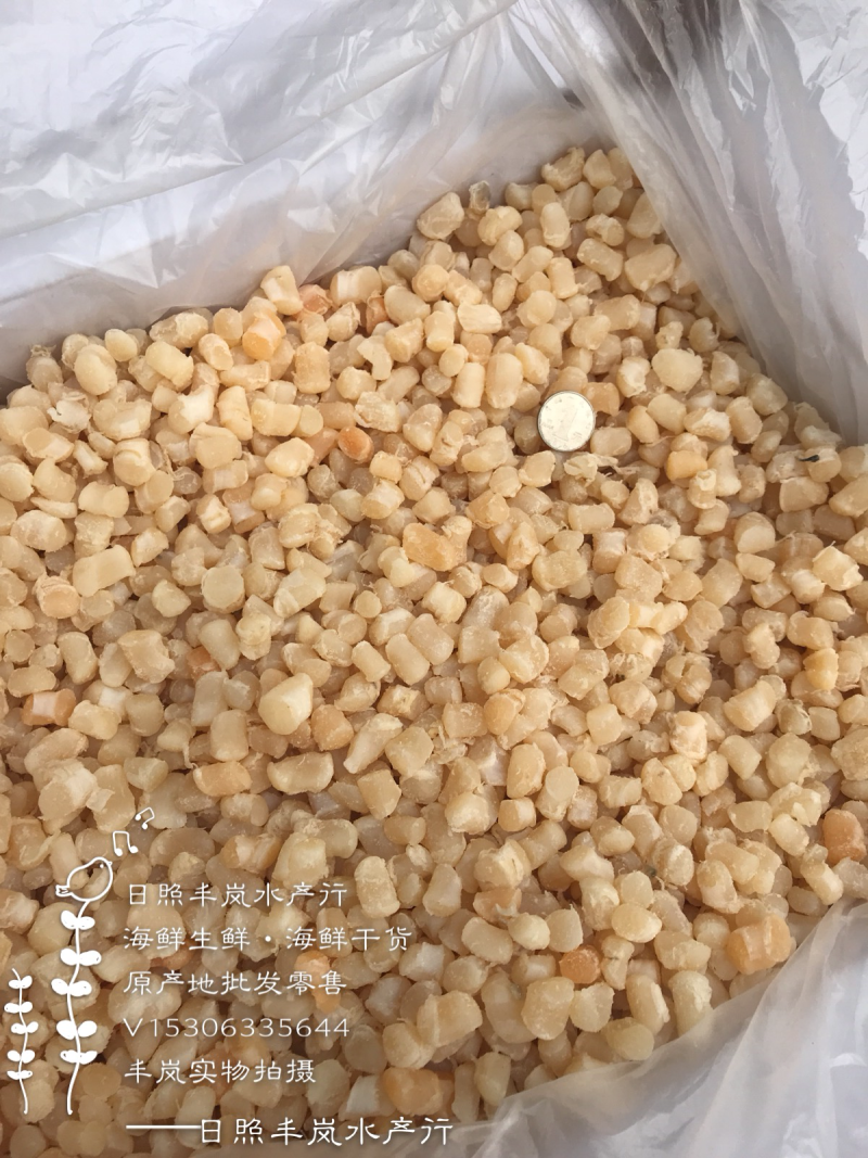干贝扇贝丁瑶贝柱
