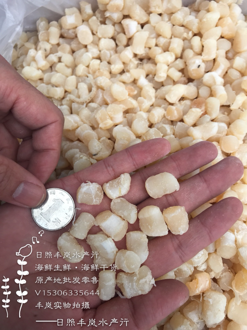 干贝扇贝丁瑶贝柱