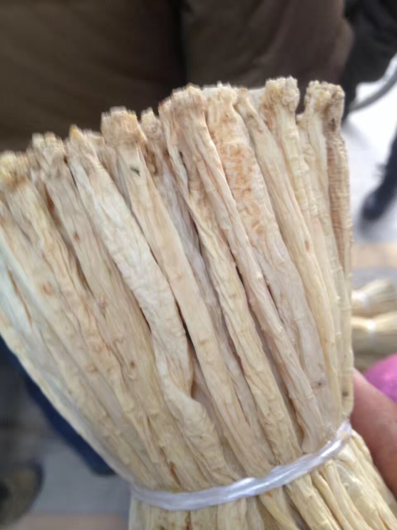 货源充足的正宗黄芪厂家直销优惠价格