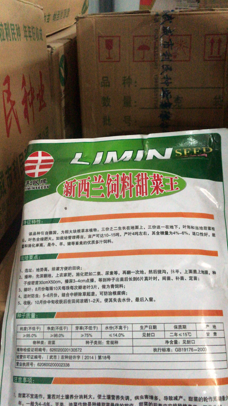 饲料甜菜种子高产抗病亩产20吨
