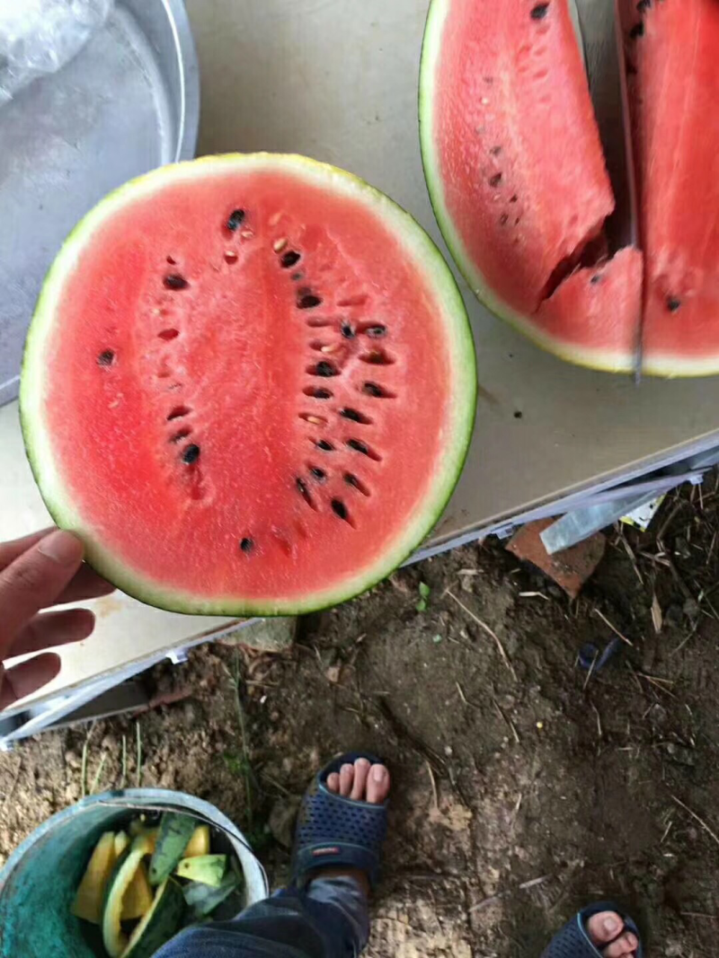 西瓜