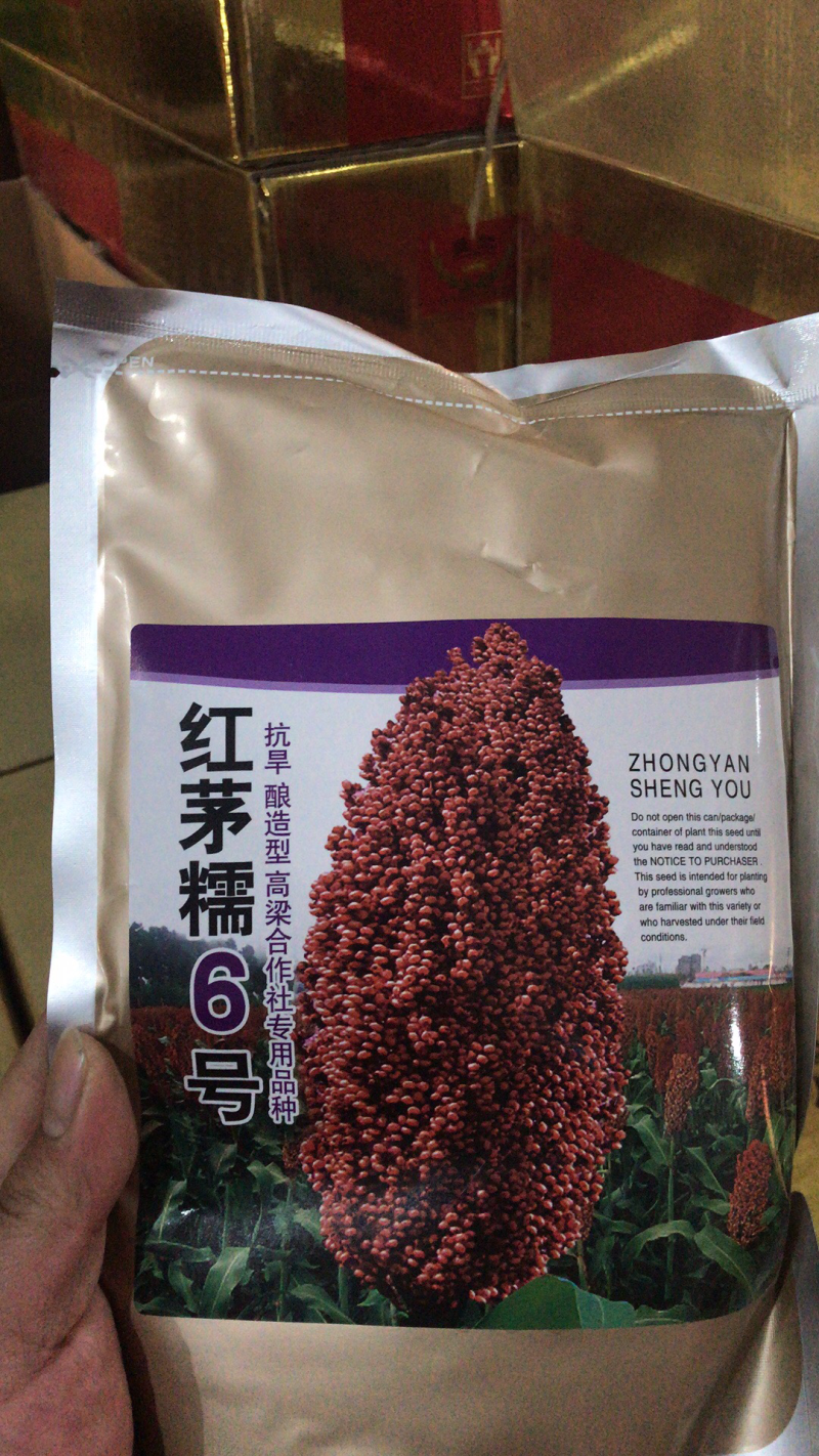 酿酒高粱种子高产抗病抗倒伏亩产超千斤