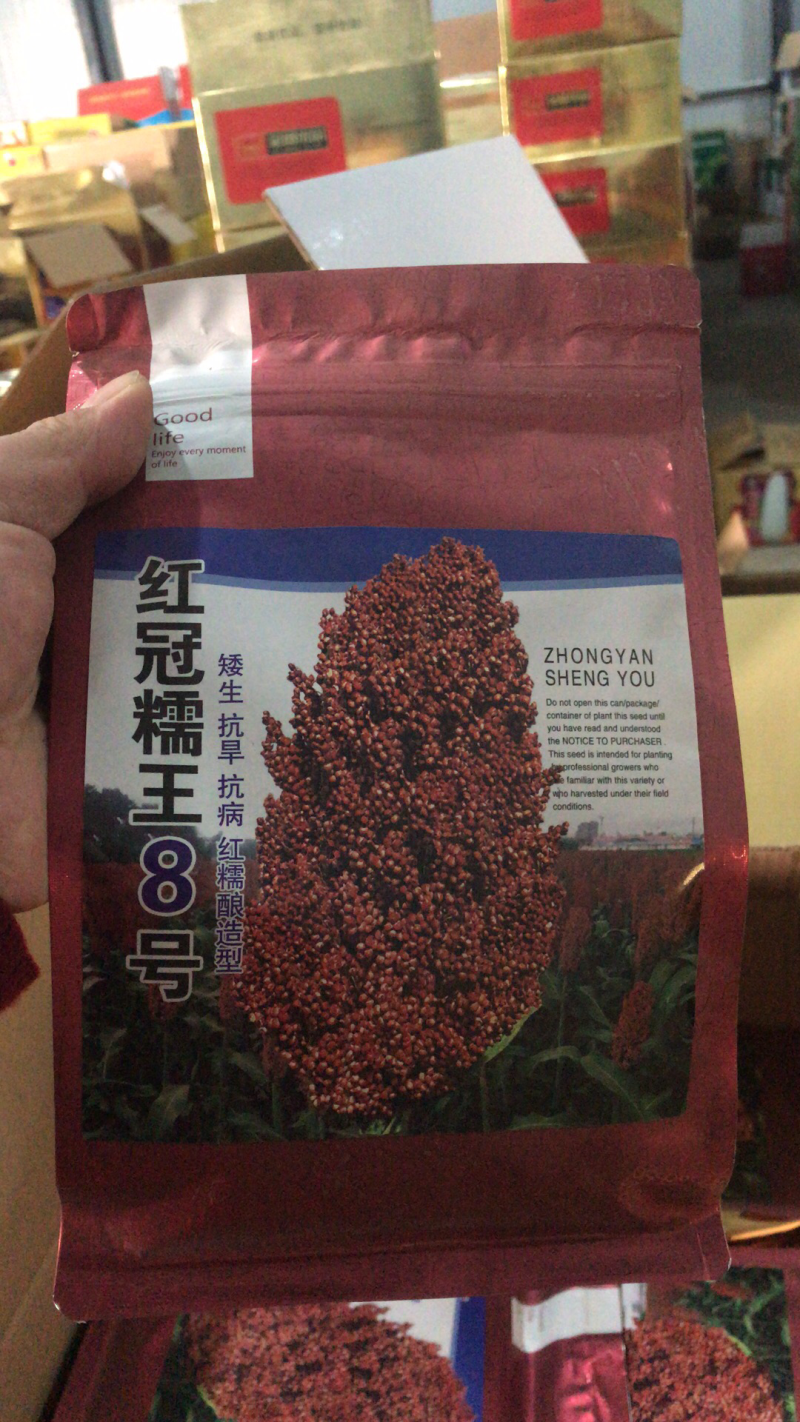 酿酒高粱种子红冠糯王八号高产抗病抗倒伏亩产1600斤