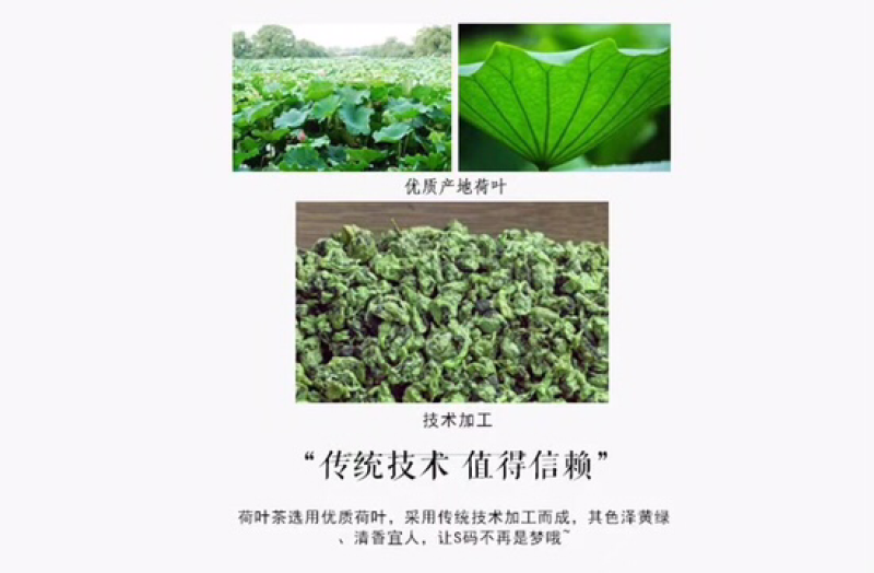 荷叶茶2023年新荷叶茶茶微山湖荷叶茶加工