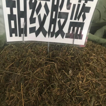 广西甜绞股蓝
