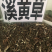 溪黄草整条切片苦溪黄批发各种中药