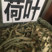 荷叶丝荷叶块扎把荷叶各种规格荷叶批发