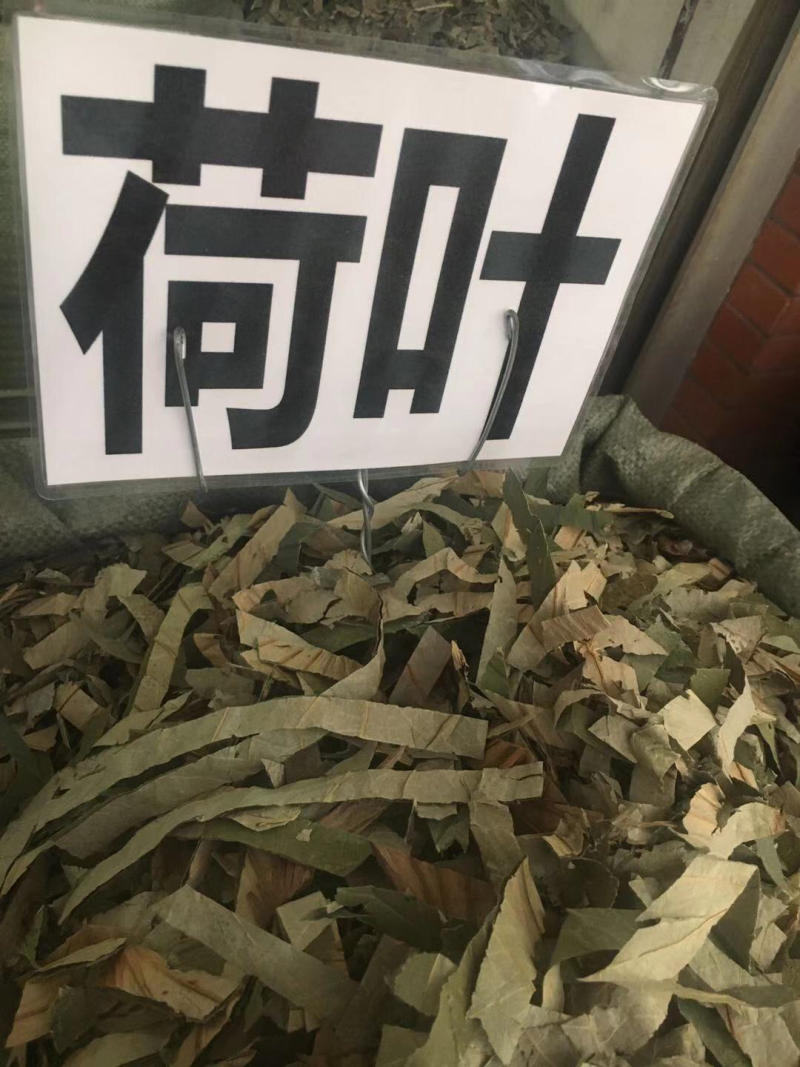 荷叶丝荷叶块扎把荷叶各种规格荷叶批发