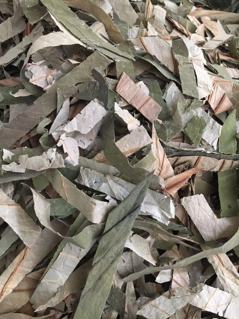 荷叶丝荷叶块扎把荷叶各种规格荷叶批发
