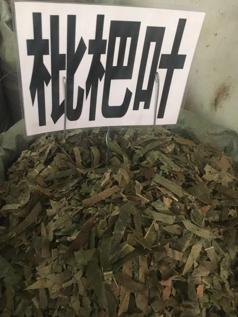 广西枇杷叶