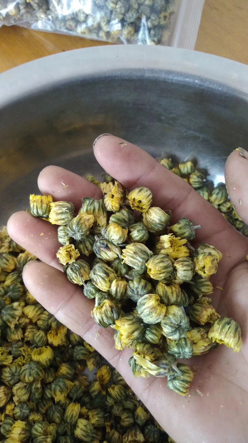 胎菊新北京菊甘菊花茶菊花茶